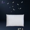 بالش دوطرفه چهارفصل ورونیکا Veronica DualComfort Pillow